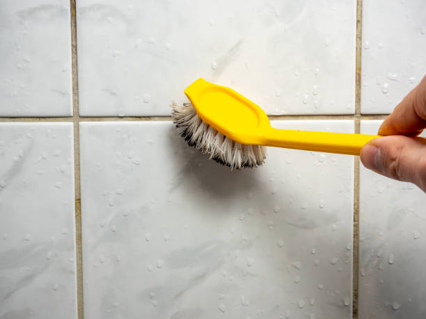Best Fast Mold Removal  in Arta, CA